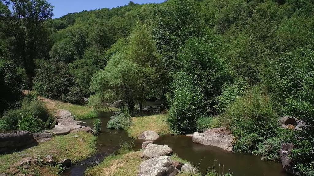 Moulin De Record Villa Ferrieres  Dış mekan fotoğraf