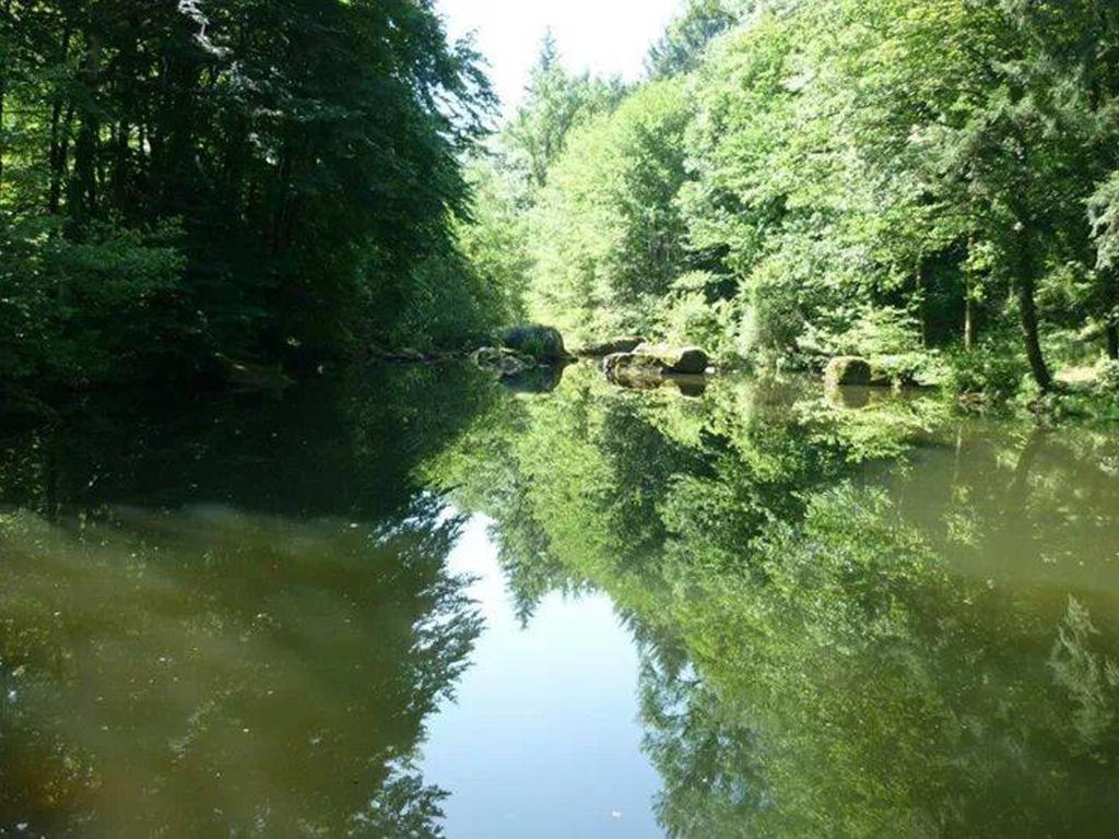 Moulin De Record Villa Ferrieres  Dış mekan fotoğraf