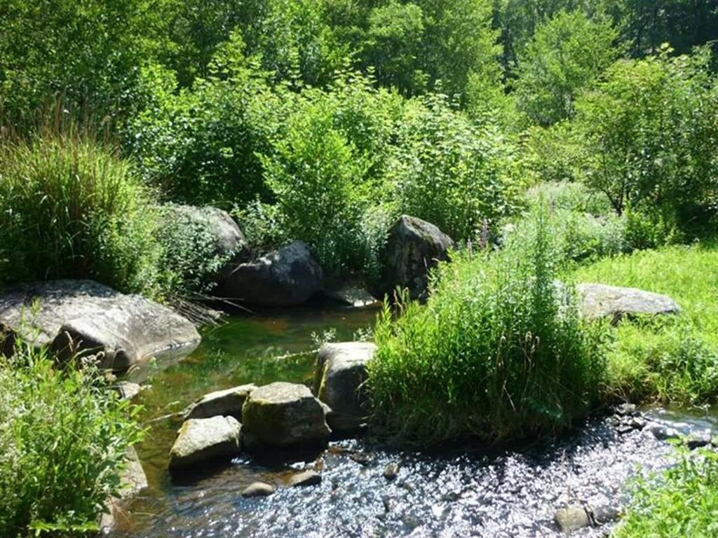 Moulin De Record Villa Ferrieres  Dış mekan fotoğraf